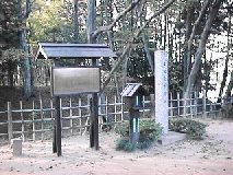 �É͌����ِ�