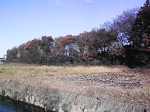 ���v��� �y��