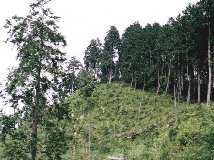 �ٍ�R����