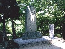 �V���Ղɂ��鎫���̔�