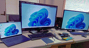 TACTFUL WALRUS's have_a_happy_life_my_house