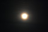 Lunar Corona
