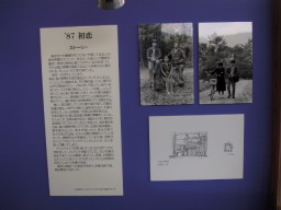 87