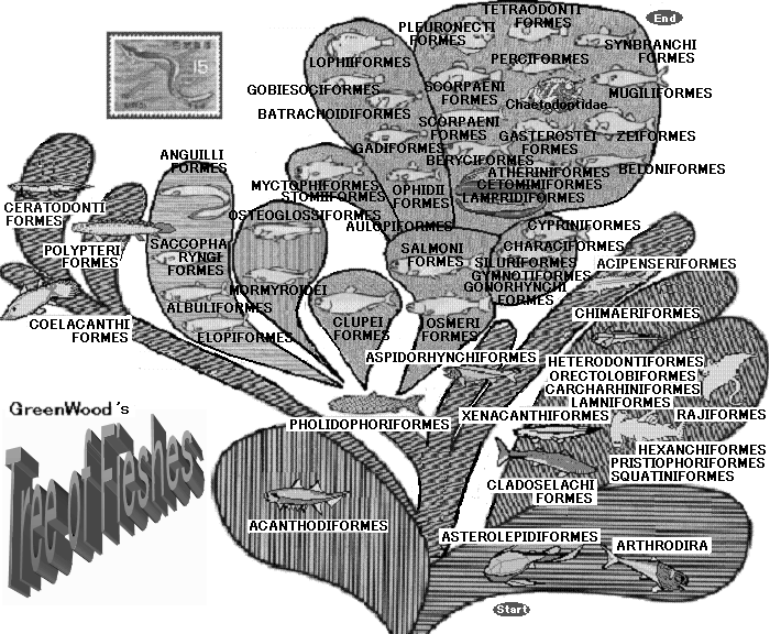 Tree of Fishes