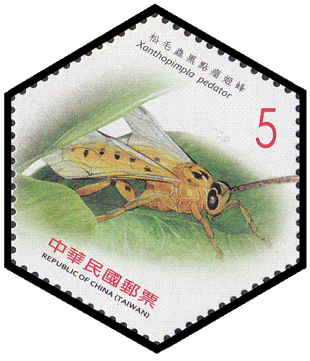 Scott:4059b