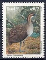 Scott:2535