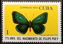 Scott:1893