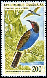 Scott:C15
