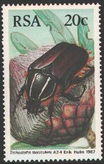 Scott:SG613