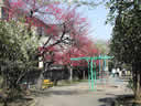 Nogawa Green Park