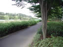 Nogawa Green Lane
