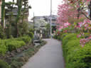 Iwatogawa Green Park
