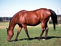 VREuC