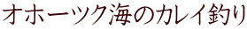 Iz[cNC̃JCނ