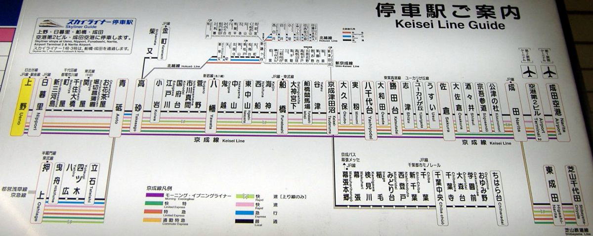 社会 人 1 年 目 の kenty