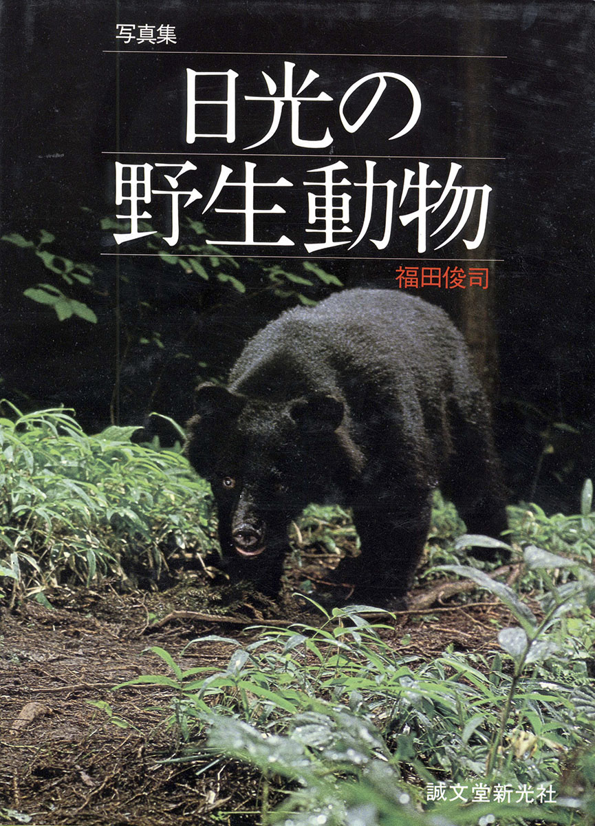 日光の野生動物