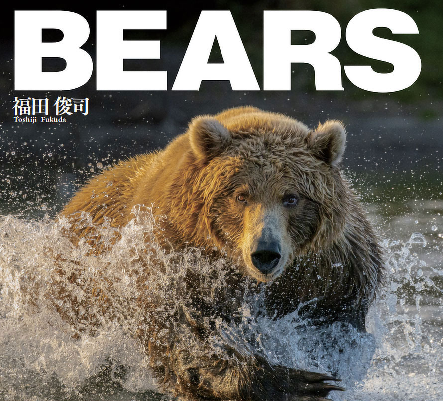 BEARS