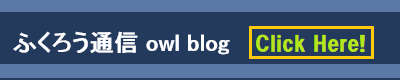 owl blog