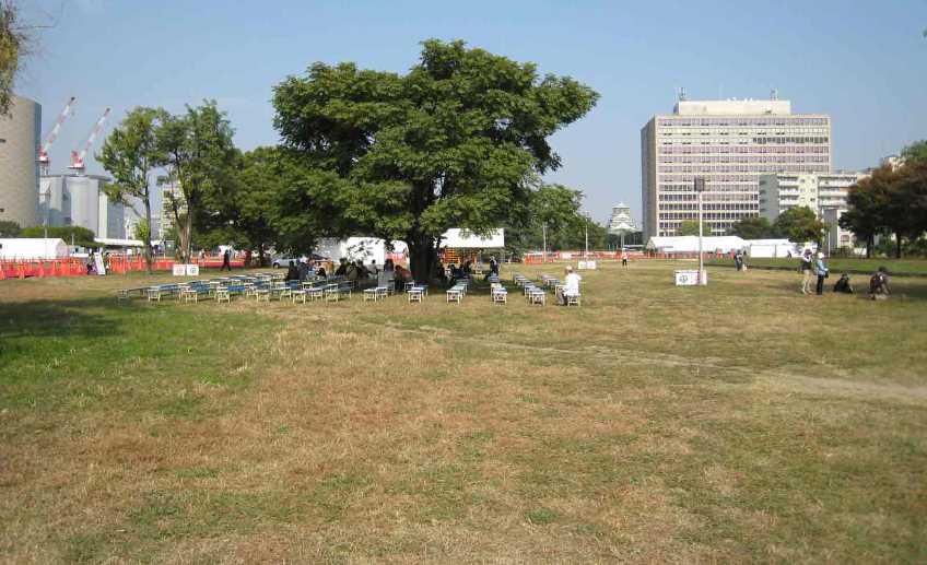 02-07.JPG