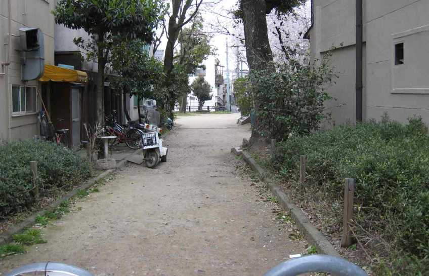 13-04.JPG
