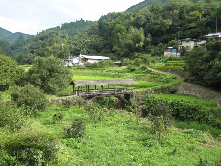 tamaru.01.jpg