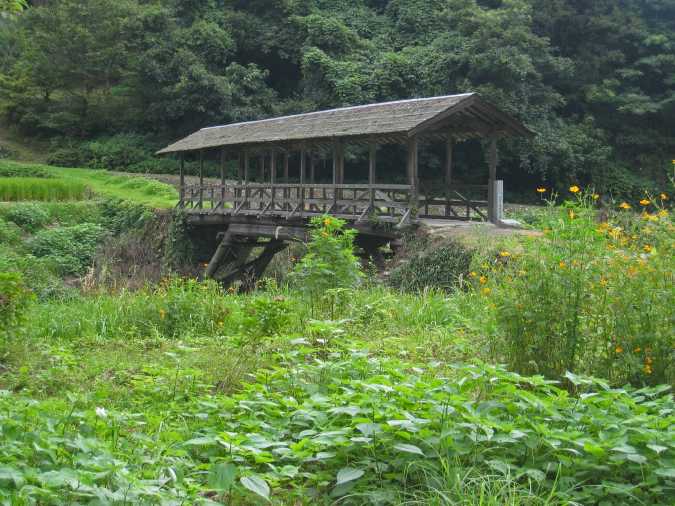tamaru.10.jpg