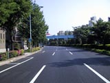 白山通り