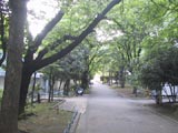 初台