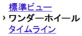 ワンダーホイール表示