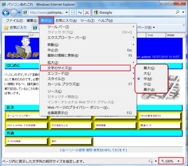 Internet Explorer の表示オプション