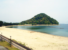 菊が浜