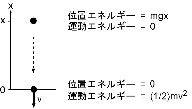 落下する物体の位置エネルギーと運動エネルギーとの関係.