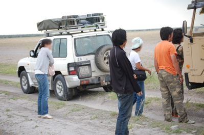 Safari Car Sally