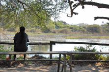 Maun Game Reserve