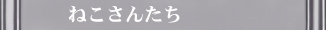 ˂񂽂