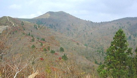 御殿山から武奈ヶ岳を望む