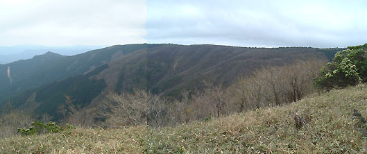 山頂を望む