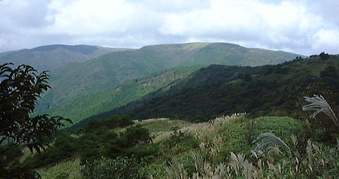 達磨ヶ峰から段ヶ峰を望む