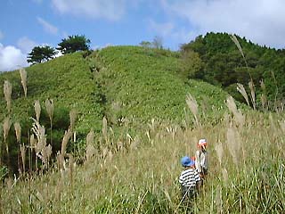 �B�������ڎw��