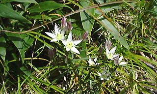 �Z���u��