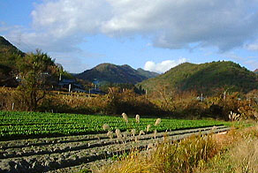 �����R���]