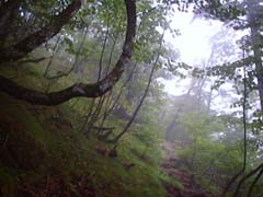 �K�X�̐��󔪒�