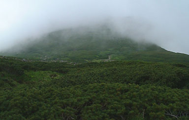 ���q����