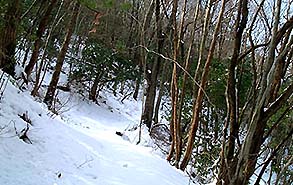 �����t��