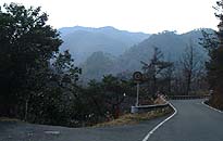 738m山から伸びた尾根