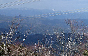 ���V���x