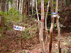 杉ヶ沢コース出合