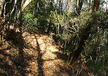 �����t��