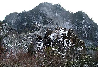 �������x