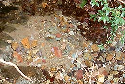 ����̏���